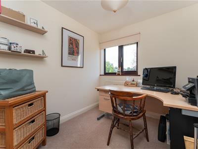 Picture 19